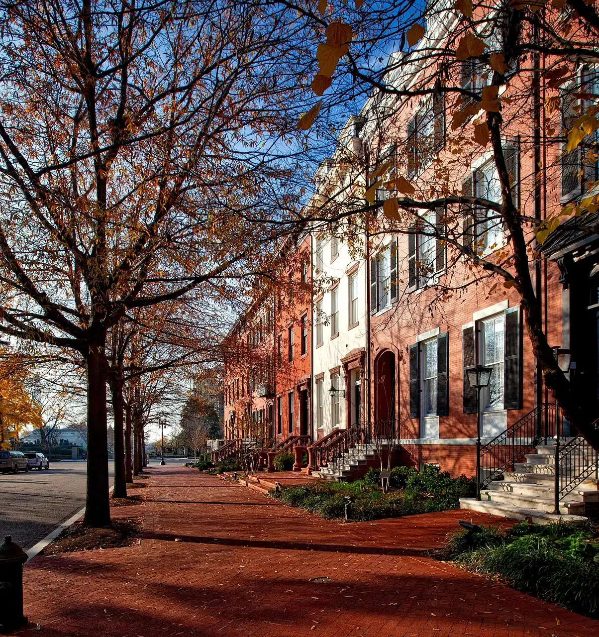 Brick row houses on a quiet street lined with autumn trees and a brick sidewalk