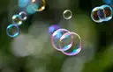 Several clear soap bubbles floating in the air in front of a green blur