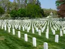 Rows of white headstones on a green slope at Arlington National Cemetery