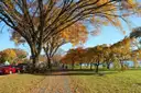 A path under autumn trees beside the Potomac River in Washington, DC