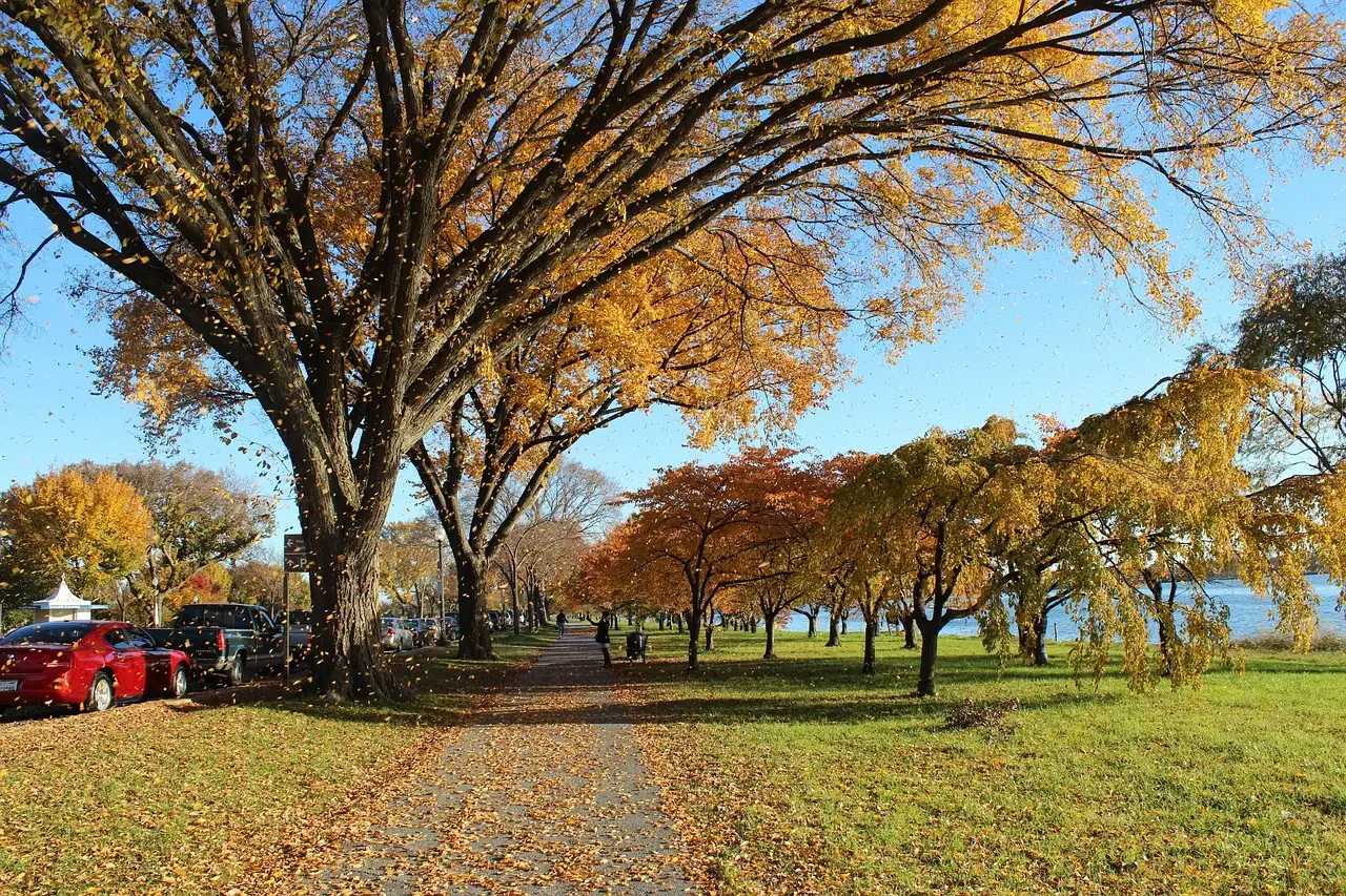 A path under autumn trees beside the Potomac River in Washington, DC