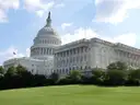 The US Capitol with its white dome above a green lawn and trees