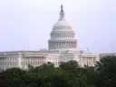 The US Capitol dome rising above green trees