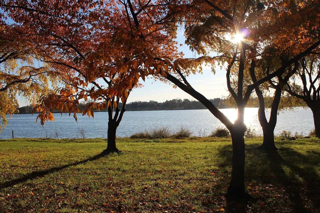 The Potomac River seen through autumn trees on a sunny day, with the far bank low on the horizon