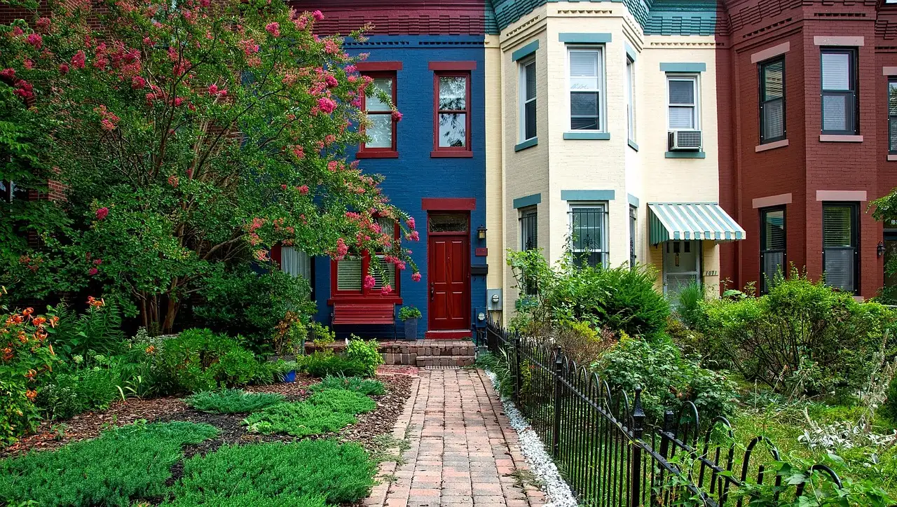 Colorful row houses with front gardens on a street in Washington, DC