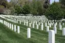 Rows of white headstones on the lawns of Arlington National Cemetery.