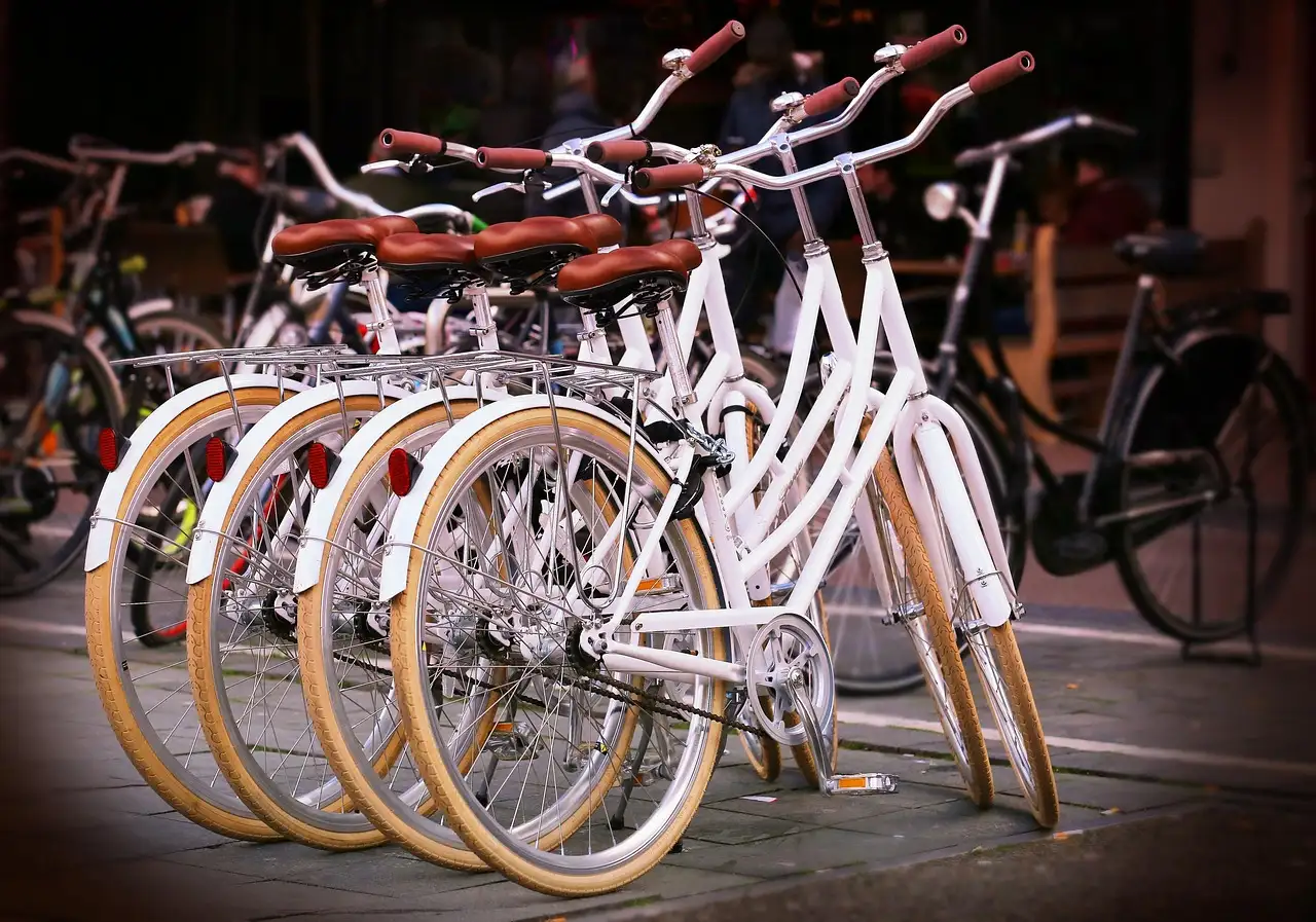 A row of white bicycles with brown tires parked on a street